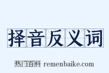 择音反义词是什么意思的图片